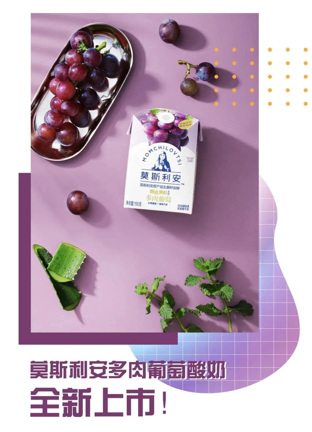 逐梦星辰大海，，，展望灼烁未来_海博论坛